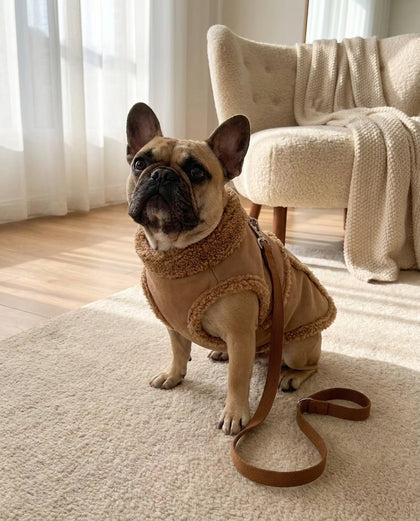 Winter vest