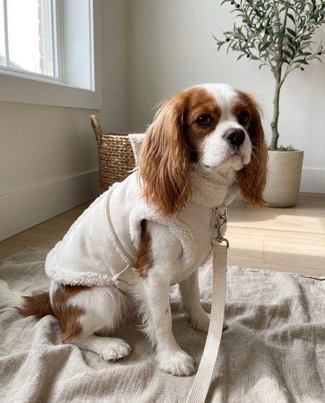Winter vest in Cream