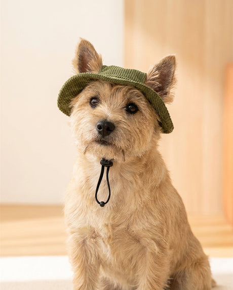 Sun hat in Olive